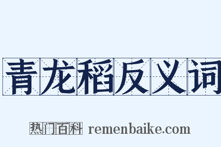 青龙稻反义词是什么意思的图片